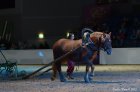 Horse Show 07.10.2012